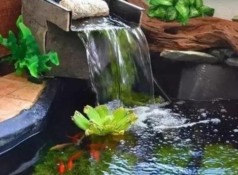 一般根據水的形態分類，園林水景有這4個類型！