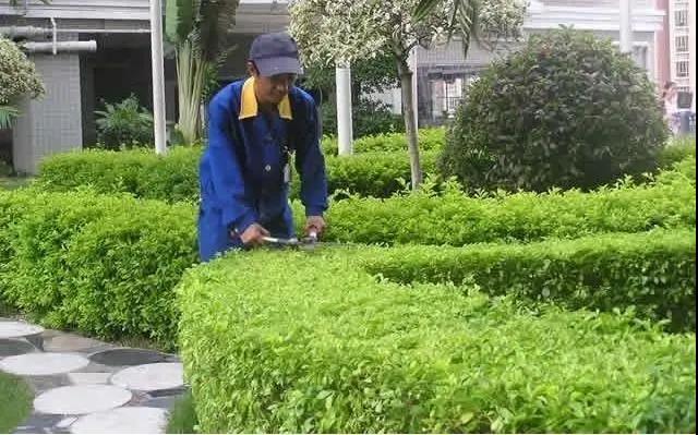 園林綠化工程施工常見誤區，您中招了嗎?